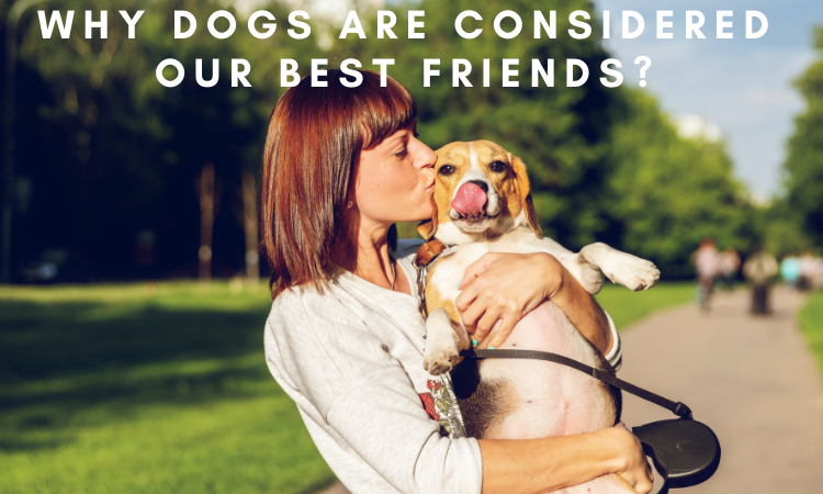 Why dogs are considered our best friends?
